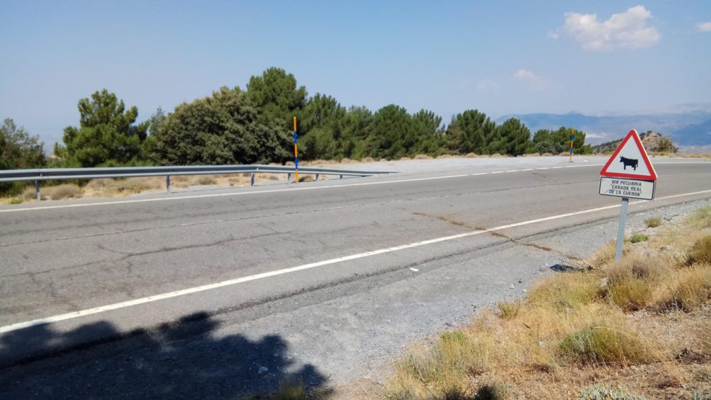 Carreteras españolas que te garantizan un viaje diferente.